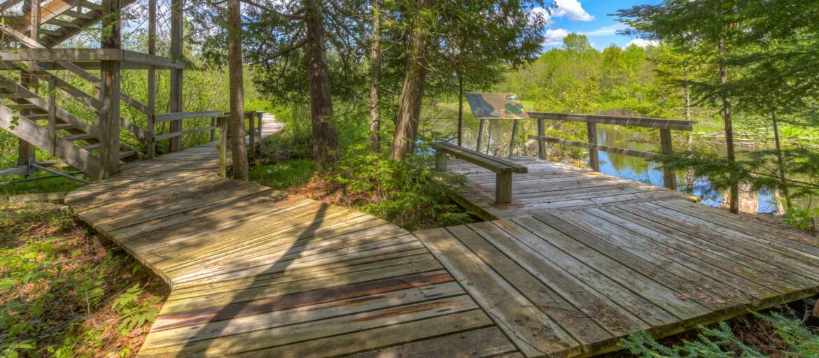Parc-Lac-Aylmer-passerelle-2.jpg